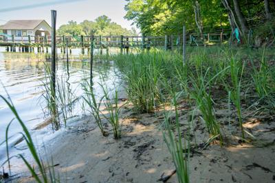 Chesapeake Bay Funding