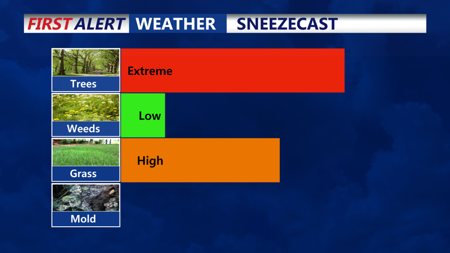 Latest Allergy Index