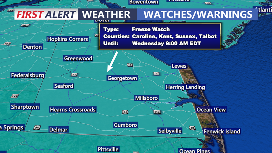 freeze watch