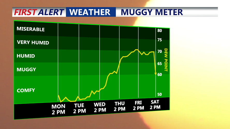 muggy meter