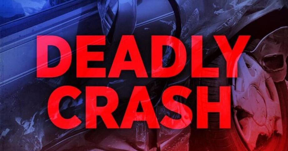 Woman killed in e-bike crash on Coastal Highway south of Dewey Beach