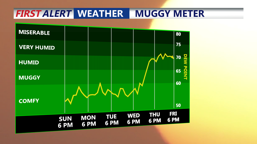 Muggy Meter
