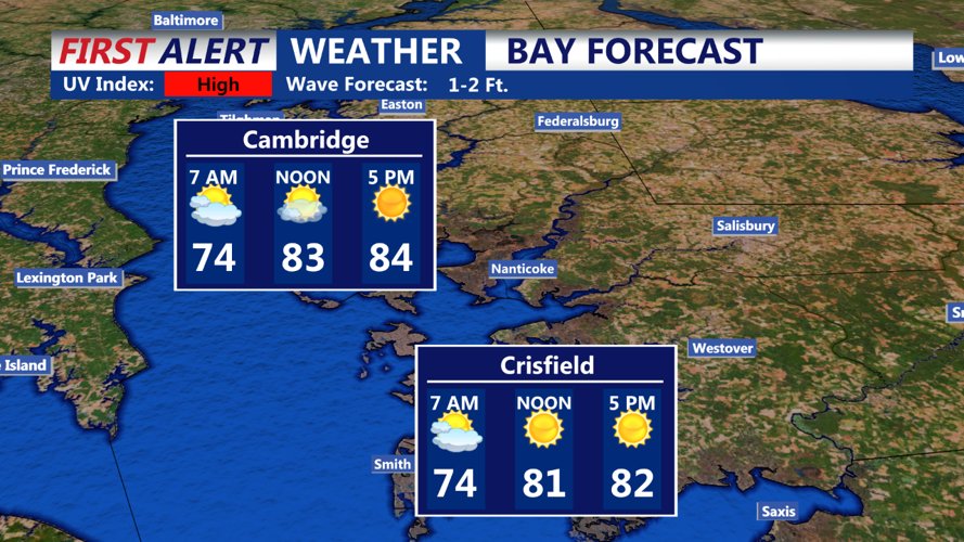 Bay forecast