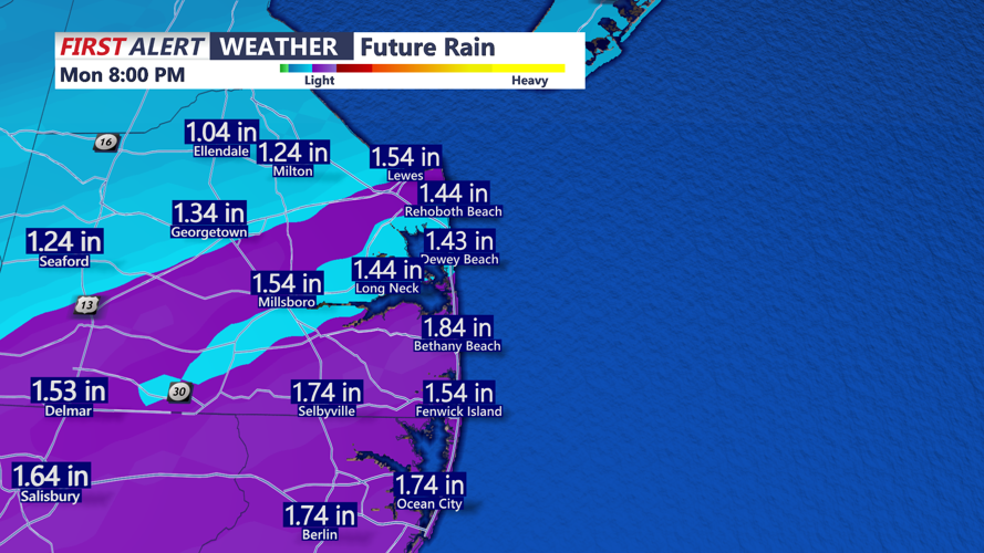 Futurecast Rainfall