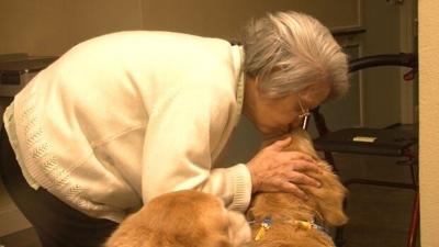 Delmarva Pets: Berlin ?Goes Mutts? Over Pet Therapy