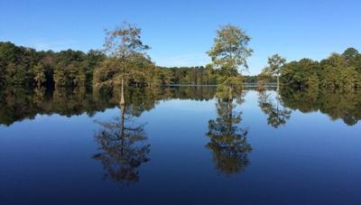 Nontidal wetlands
