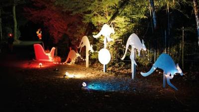 Salisbury Zoo holiday celebrations