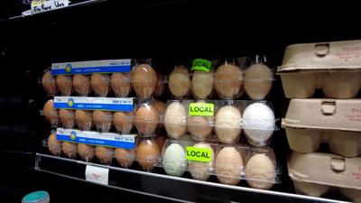 Eggs at Lloyd's Market
