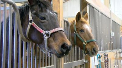 Do More 24 Delaware to Help Local Nonprofits Raise Money in 24 Hour Fundraiser