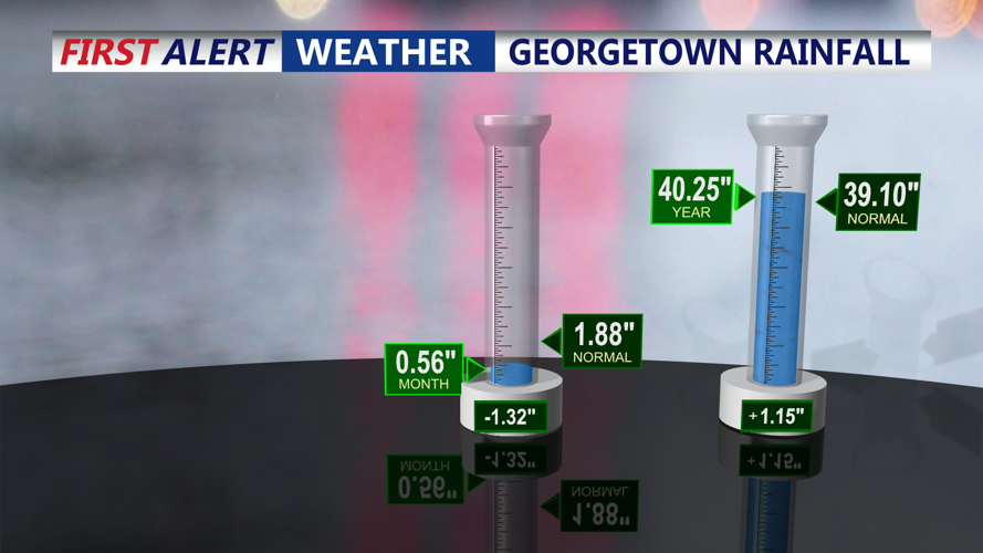 GEORGETOWN RAINFALL