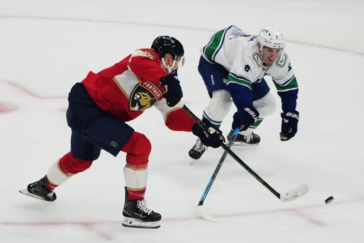 Canucks Panthers Hockey