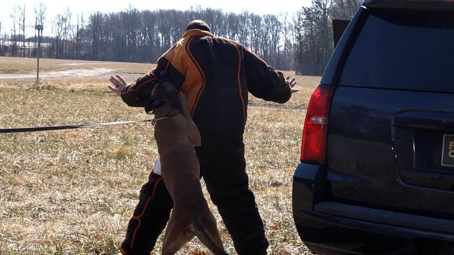 Simulated police stop