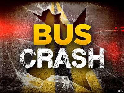 Lewes school bus crash