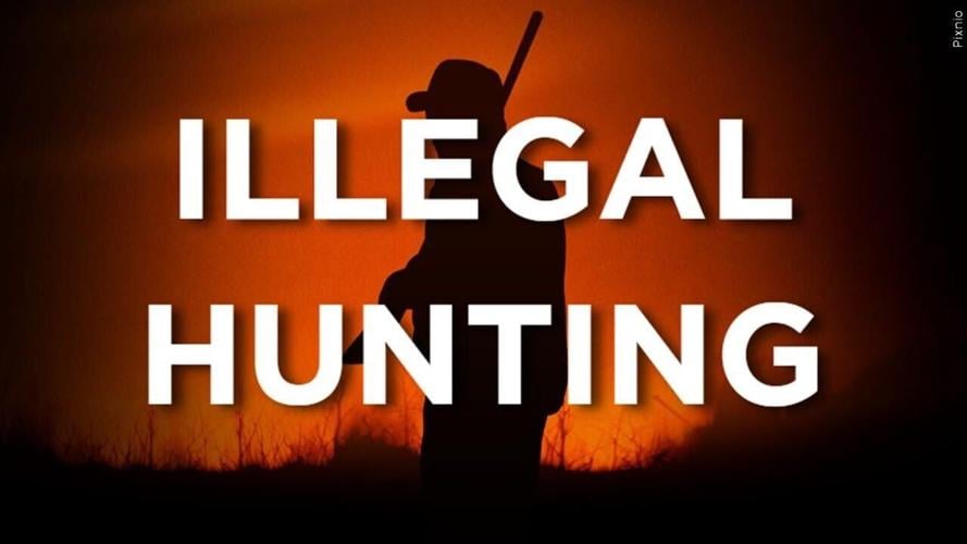 A hunter's silhouette with the words "illegal hunting".