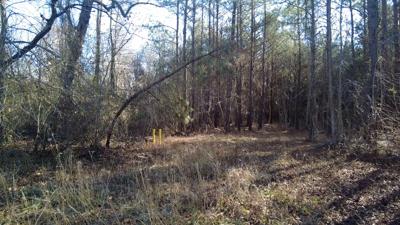 Old Landfill Site Georgetown