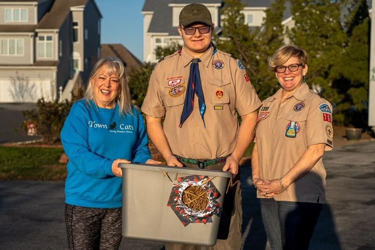cat houses ocean pines