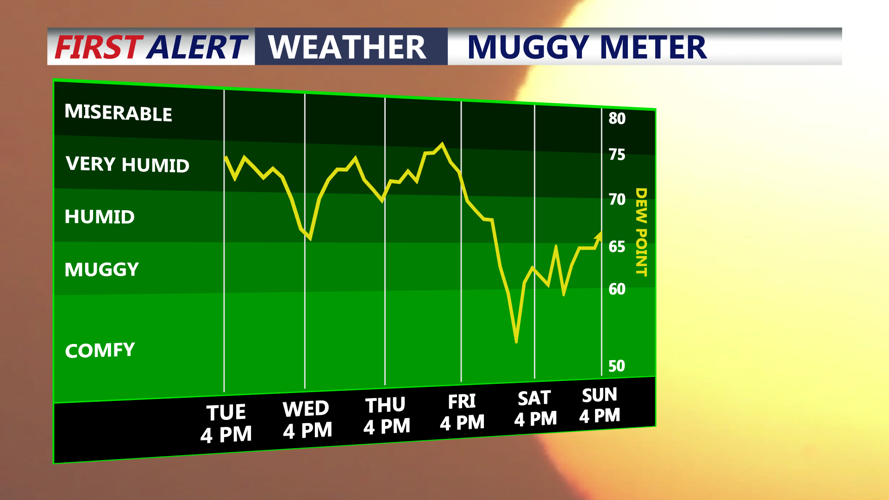 Muggy Meter