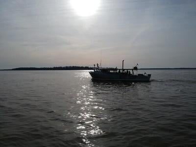 DNR