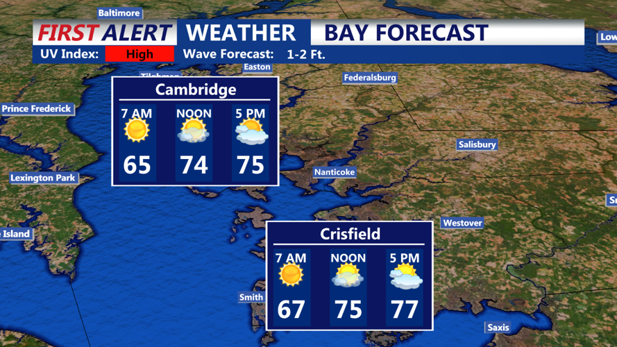 Bay Forecast