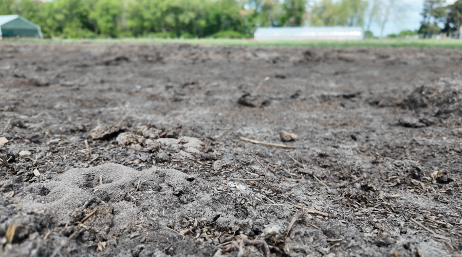 Early signs of drought are also beginning to take hold across Delmarva.