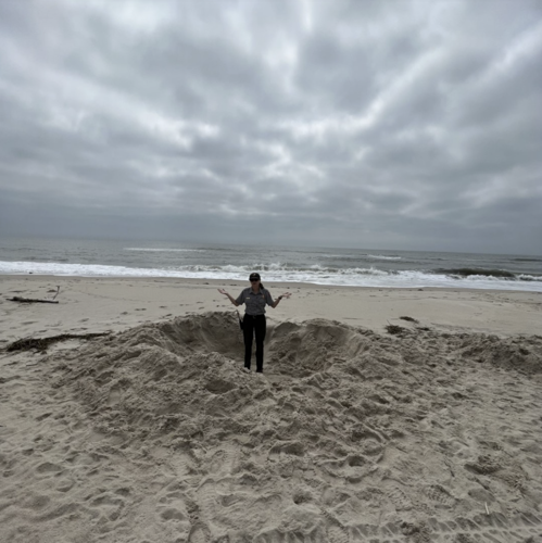 Assateague Island sea shore