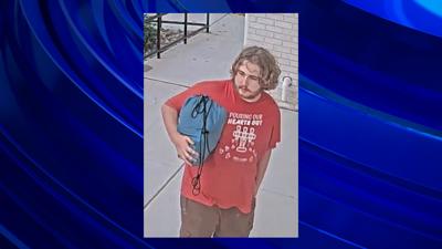 OC Theft Suspect