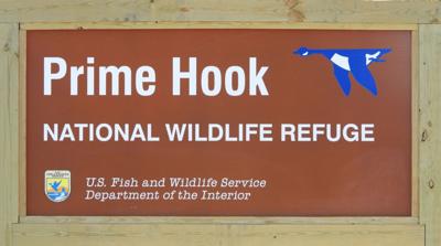 New visitor center at Prime Hook Wildlife Refuge