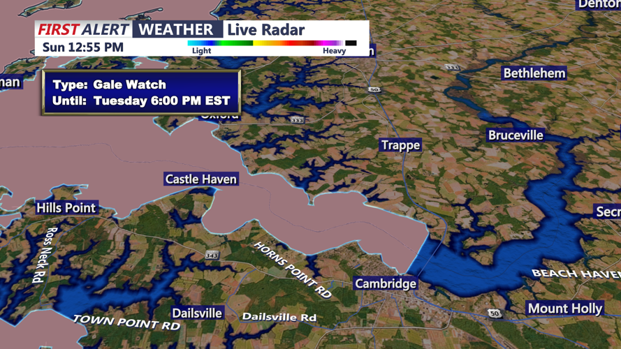 GALE WIND WATCH - CAMBRIDGE