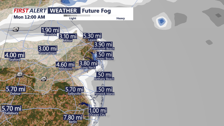 FUTUREFOG - SUSSEX