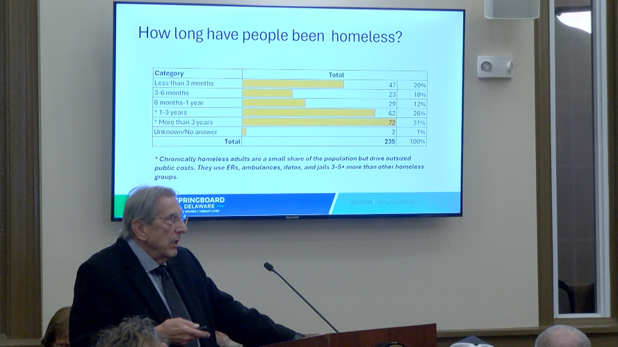 Pallet Village presentation