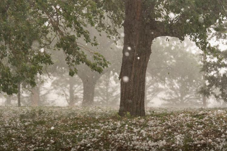 Climate Hailstone Changes