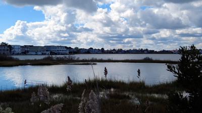 The town of Fenwick Island needs public support of dredging of Little Assawoman Bay