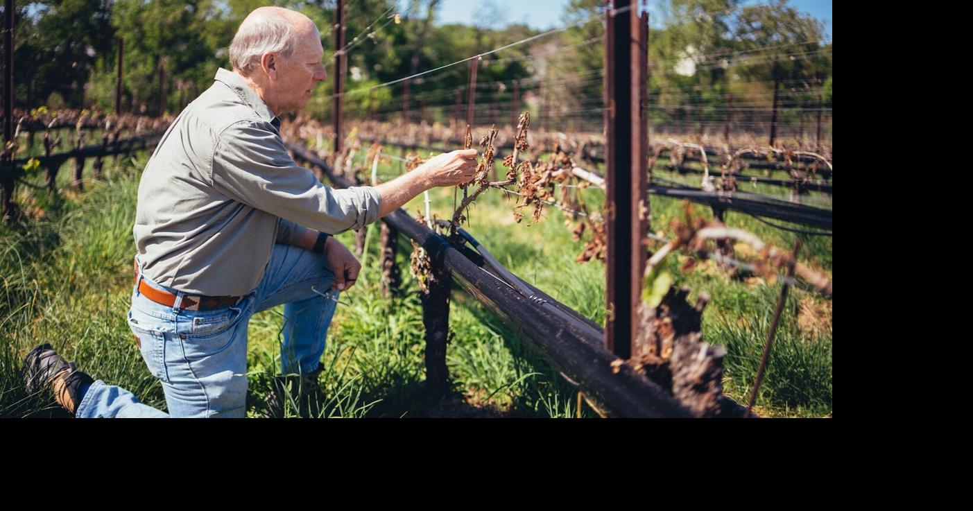Maryland farmers seek federal disaster help after April frost ...