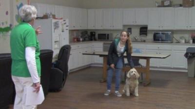 PAWS Trains Another Sussex County Pet Therapy Team