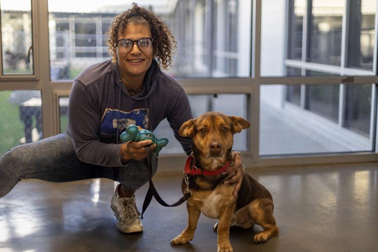 #31  ARC Adoption Firebrand 1.jpg