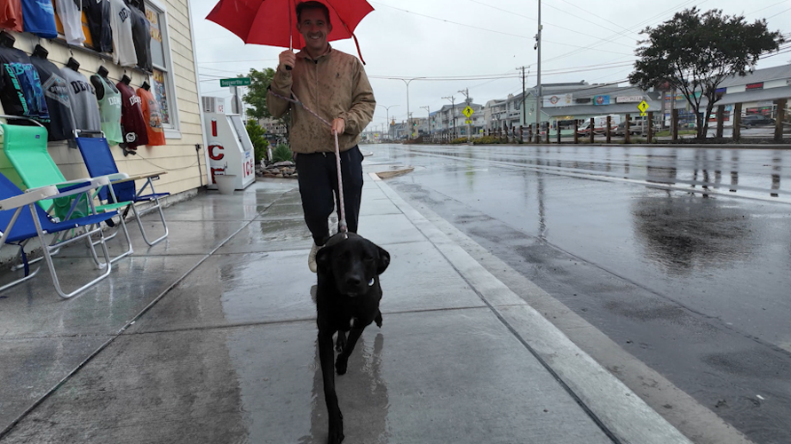 Walking dog in Dewey