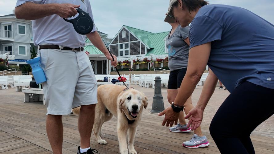 A group of people petting and greeting Camper on the Bethany boardwalk.