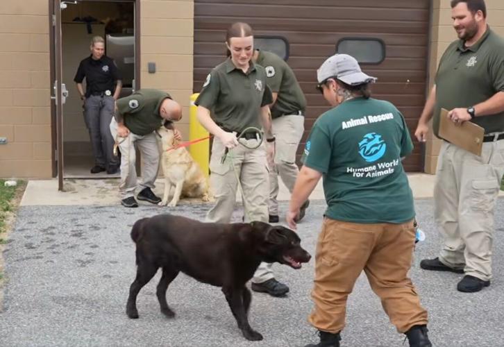 Rescue