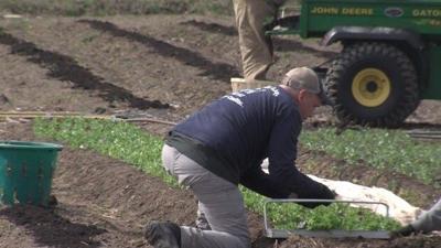First Day of Spring Brings Tasks and Traditions