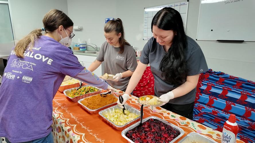 Staff at the Brandywine Valley SPCA.