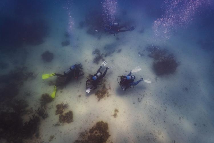 Slave Shipwreck Pilgrimage