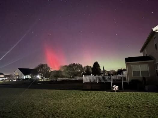 Zoe Leigh, Long Neck.jpg