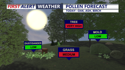 Pollen Forecast