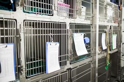 An image of empty shelter crates.