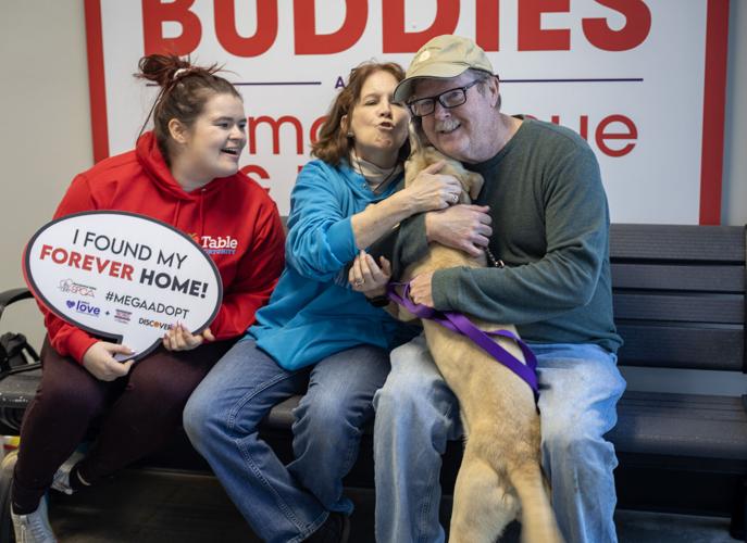 #27 ARC Adoption Vampirina 3.jpg