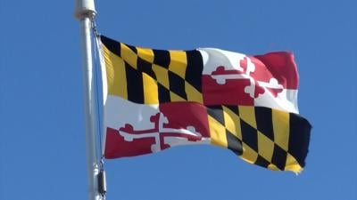 Maryland Flag