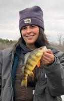 Maryland fishing heats up with perch runs and trout season