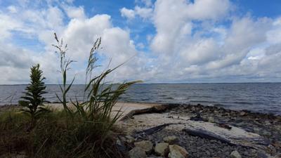 Federal funding cuts threaten Delaware’s inland bays programs