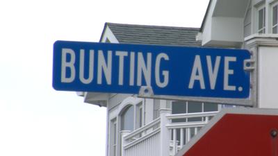 bunting ave