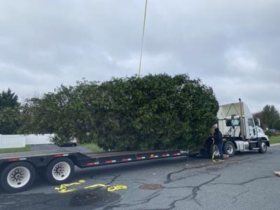 Beloved Rehoboth Beach Holiday Tradition Changes Hands